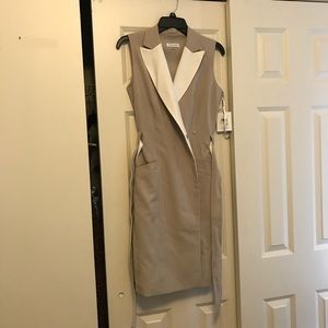Calvin Klein Dress NWT